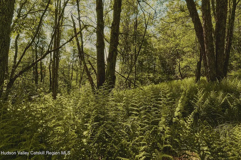 0 Benton Hollow Road Photo 7
