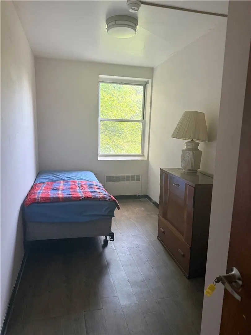 53 Coe Street Photo 11