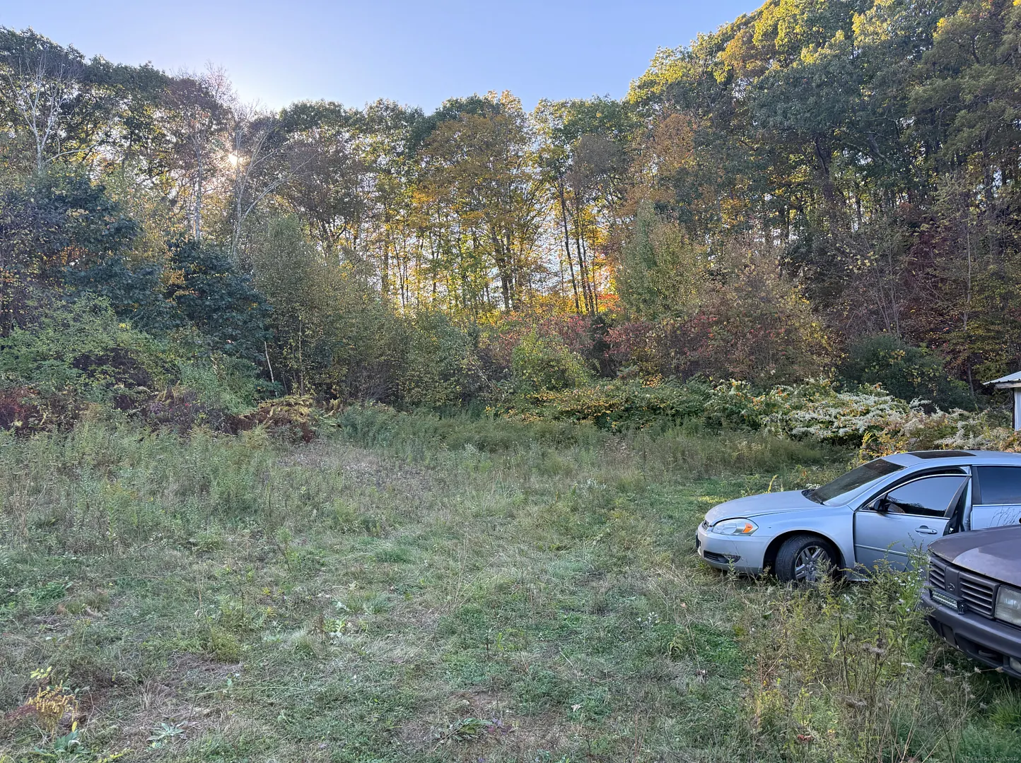 1490 Echo Lake Road Photo 4