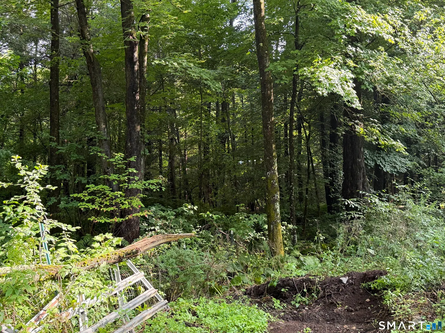 Wheeler Road Photo 3
