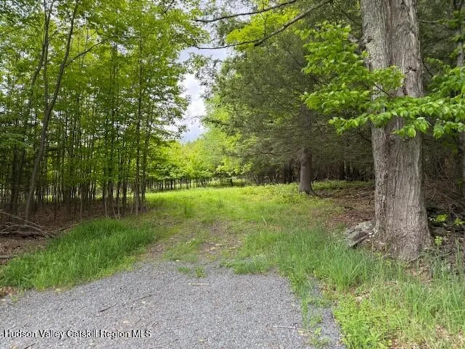 0 Van Etten Road Photo 7