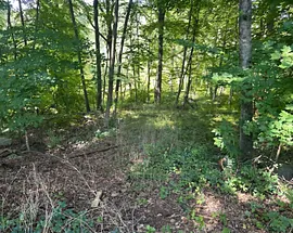 56 Hubbell Mountain Road