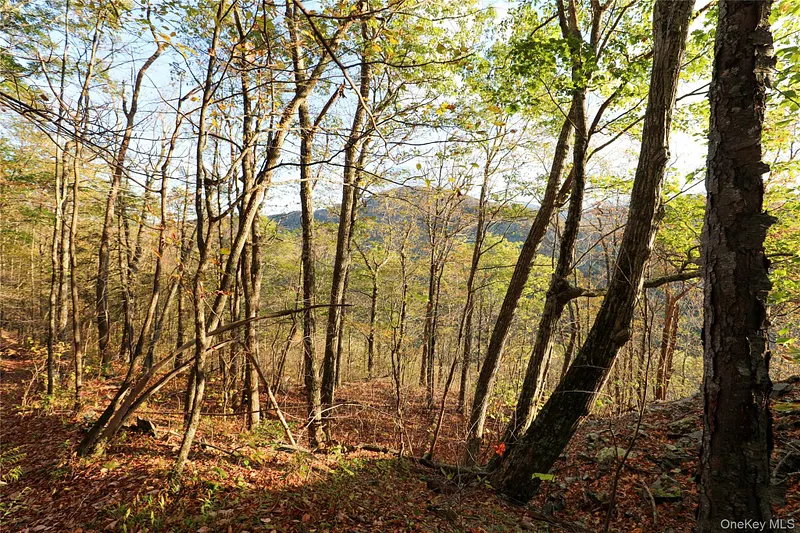 Tbd Ny-28 Route Photo 8