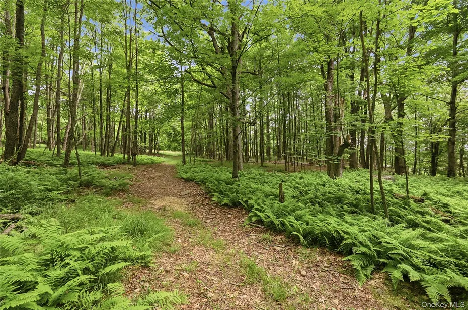115 Cold Spring Road Photo 25