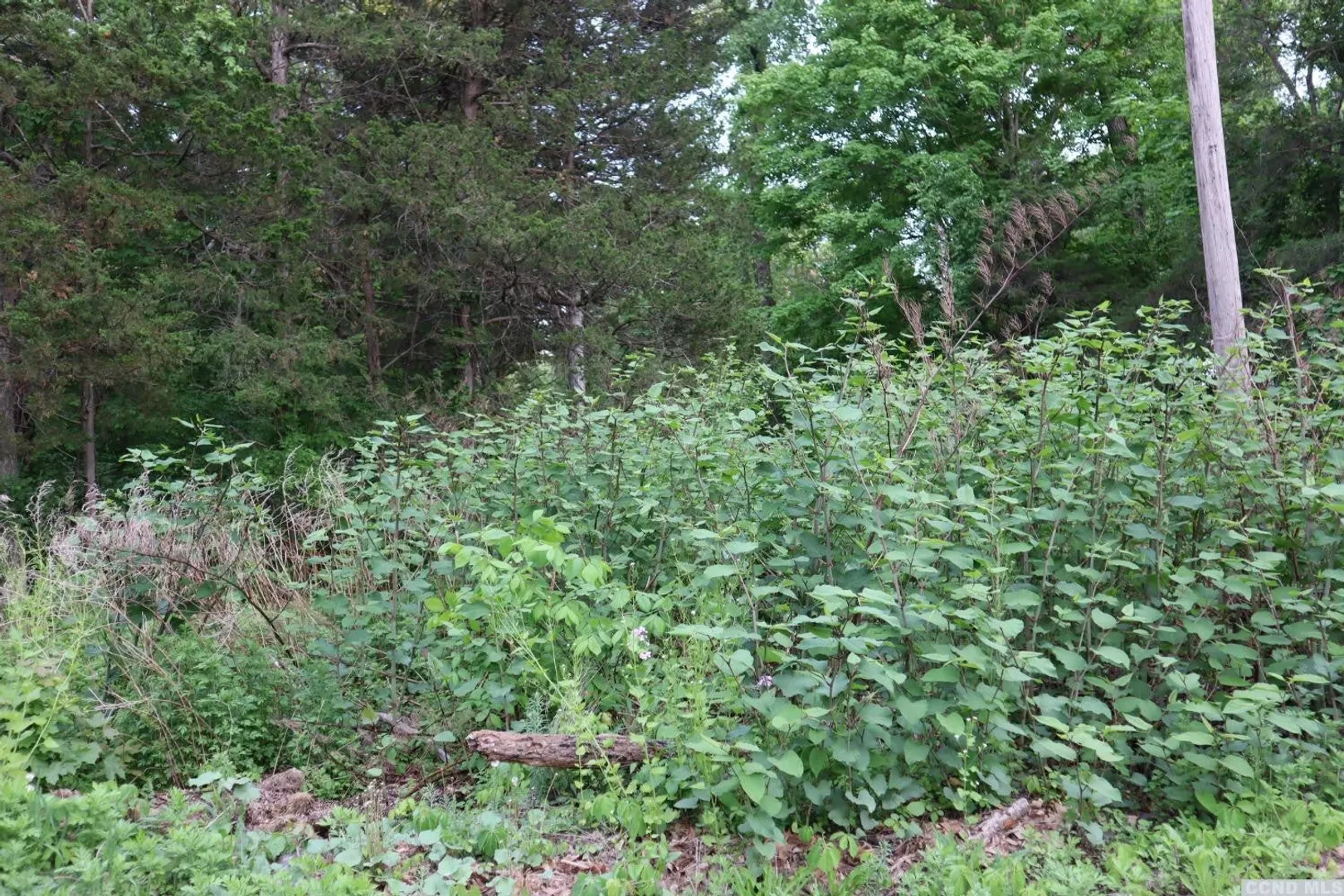 0 Route 23 Photo 2