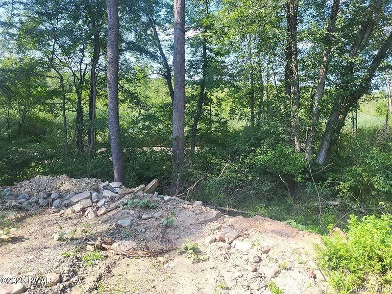 592 Mount Bethel Highway Photo 9
