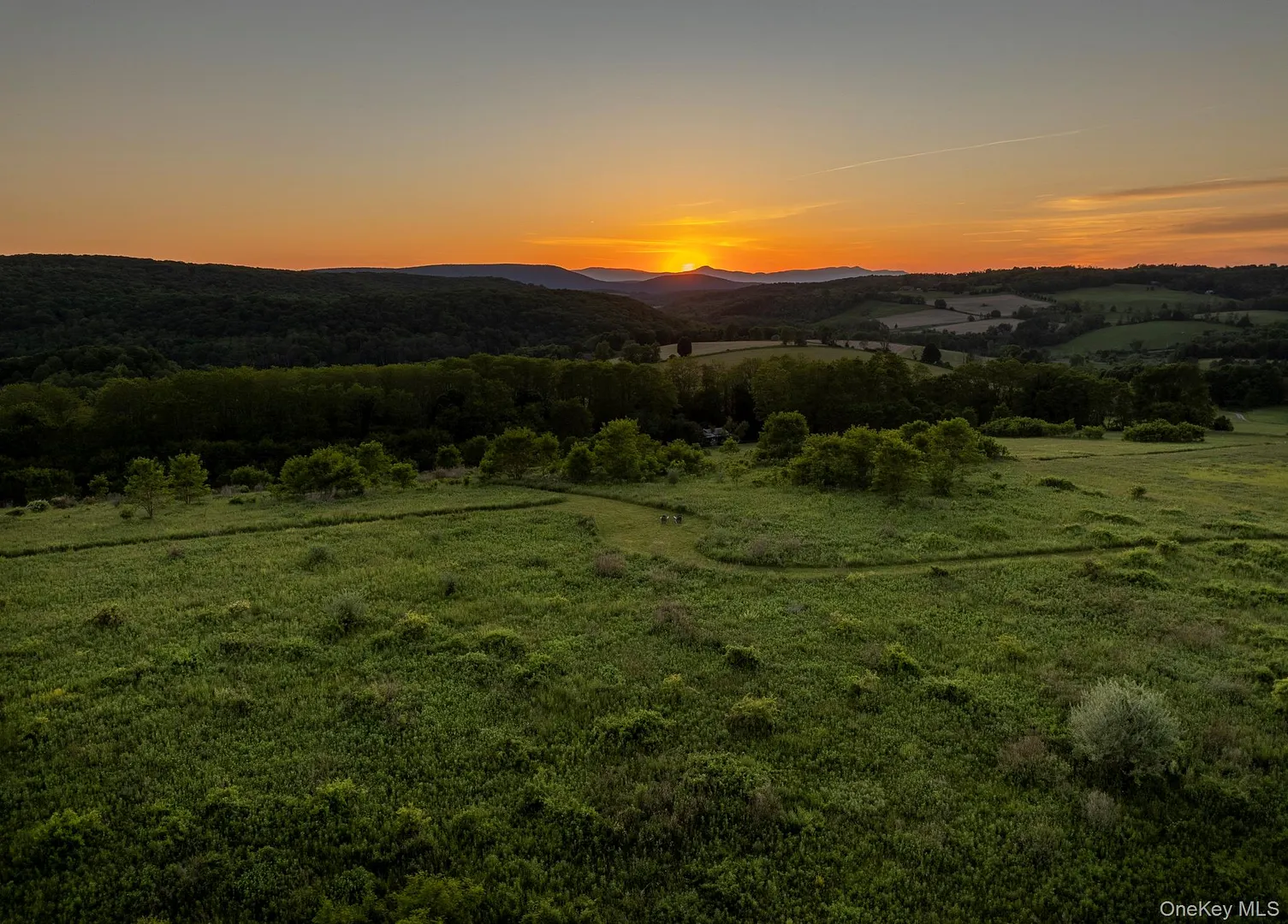 1504 Route 83 Photo 21