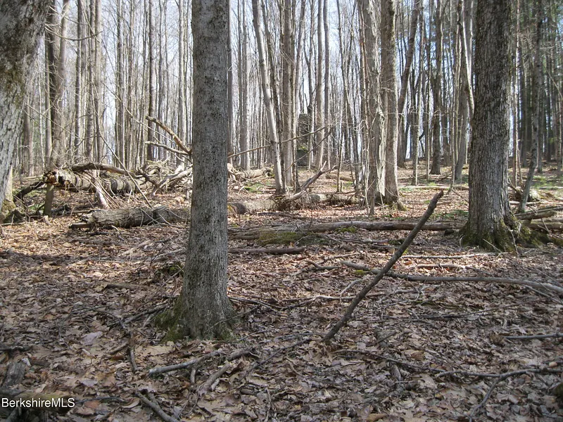 0 Mohawk Lake Rd Photo 4