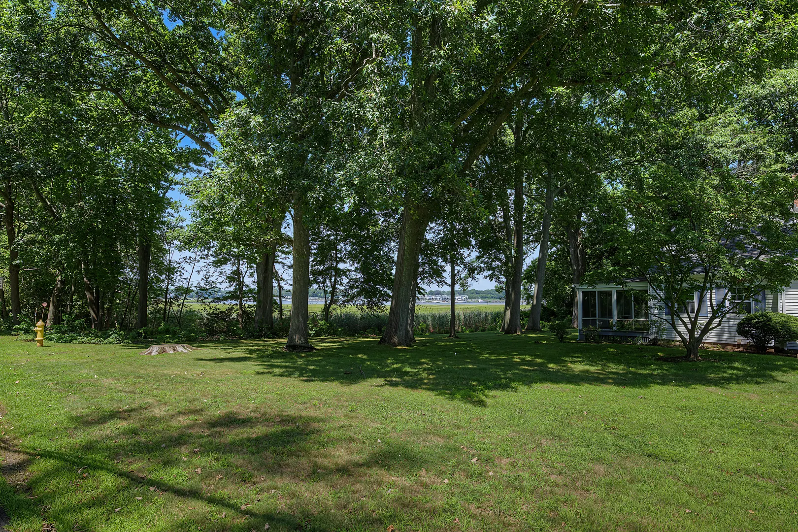 31 Pawson Road Photo 14