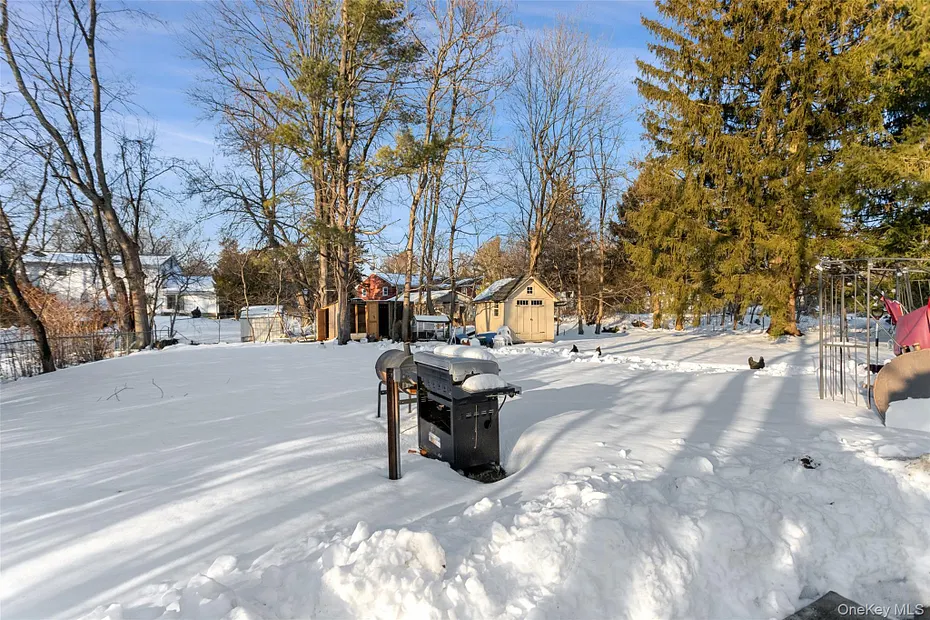 6 Merrick Lane Photo 30