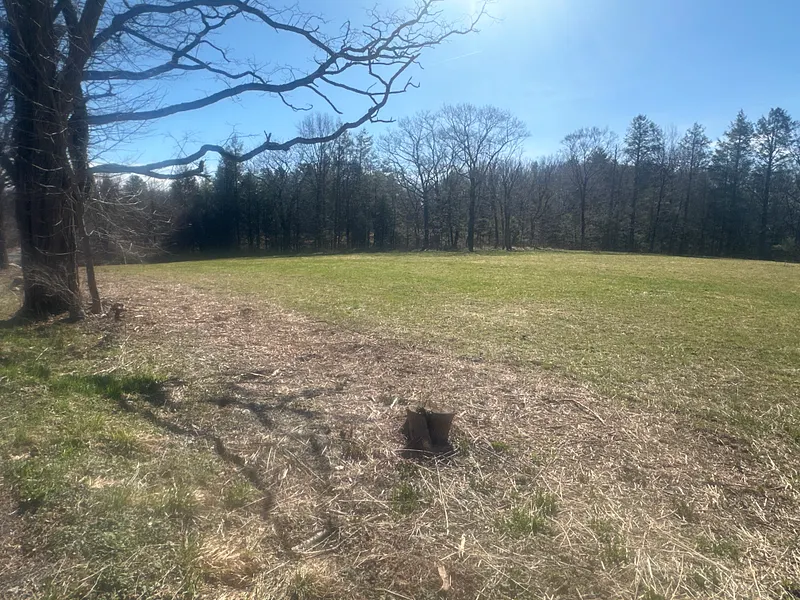 0 Newcomb Road Photo 5