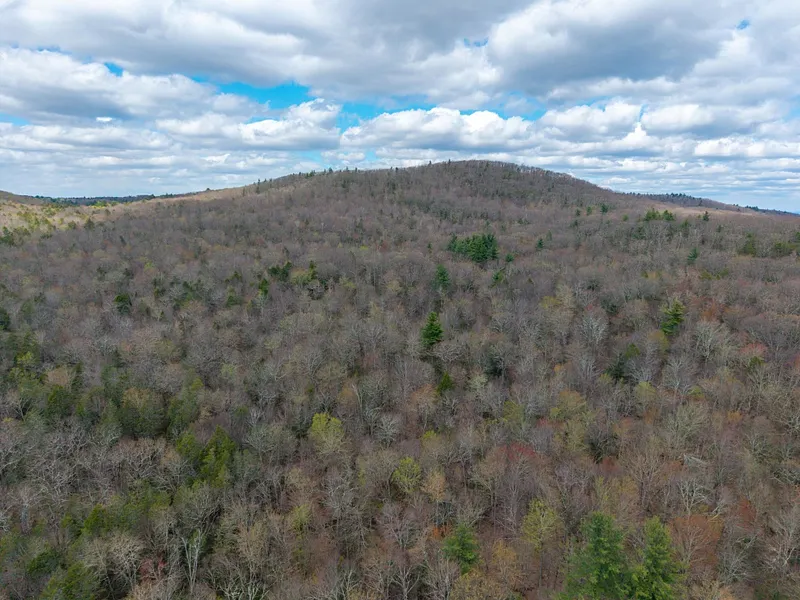 291 Fomer Road Photo 30