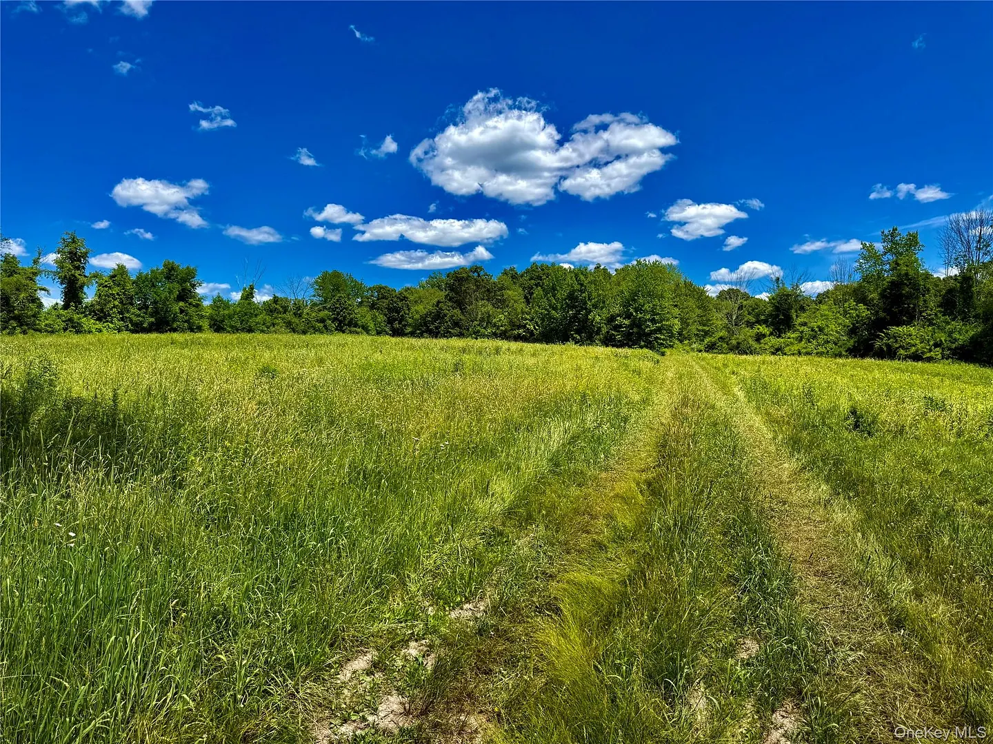 513 Rossway Road Photo 15
